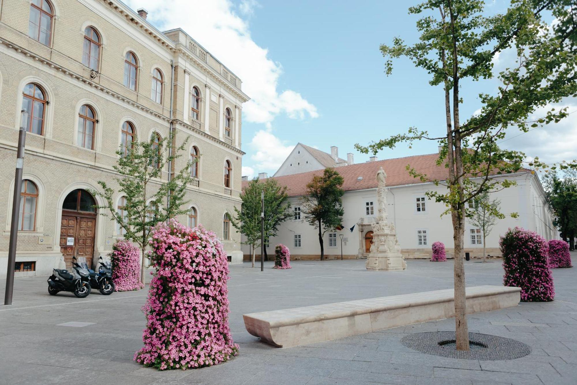 Contessa Apartment Cluj Napoca Exterior photo