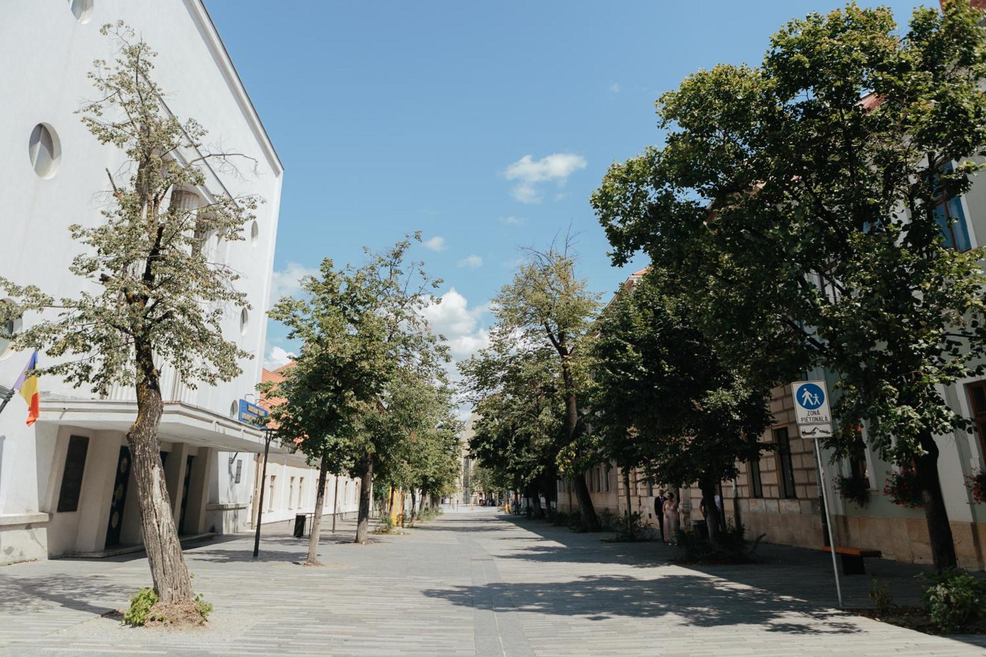 Contessa Apartment Cluj Napoca Exterior photo